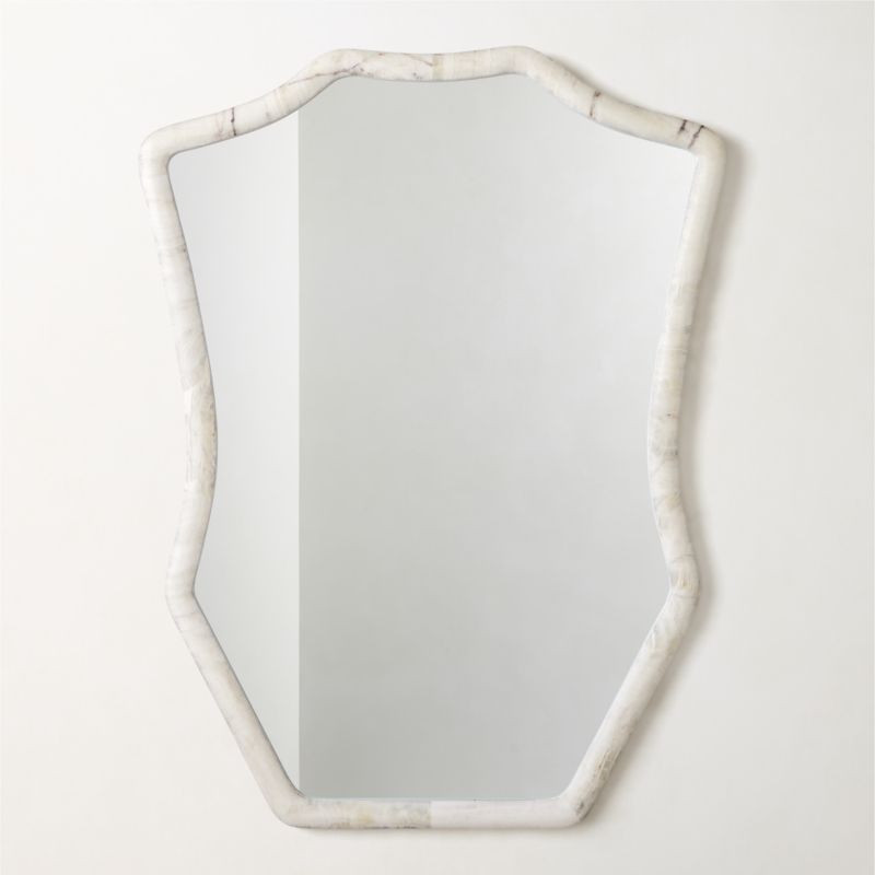 Onyx Framed Wall Mirror 36"x48" | CB2