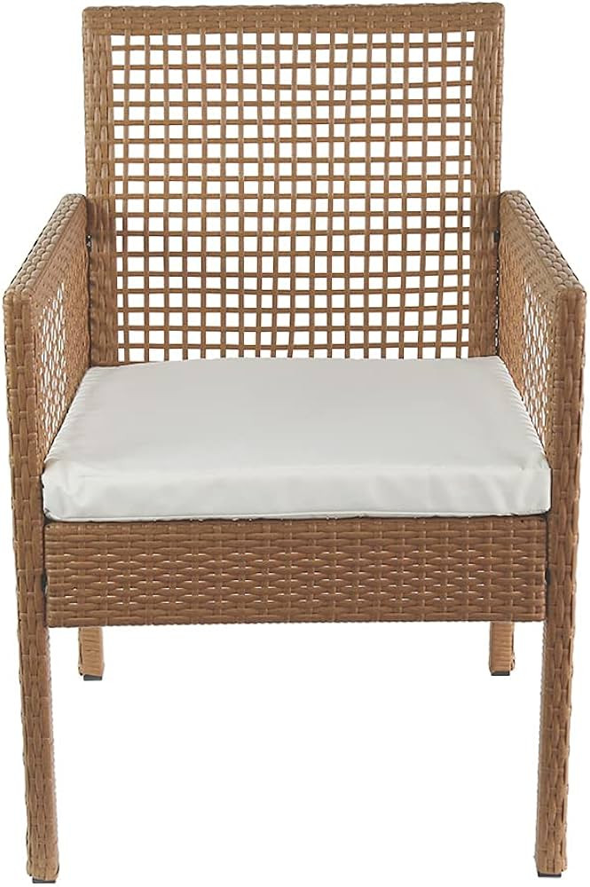 Amazon Brand - Ravenna Home Modern Outdoor Patio Dining Chairs with Cushion, Weather-Resistant PE... | Amazon (US)