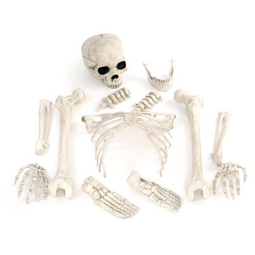 13ct Halloween Bag of Bones - Hyde and Eek! Boutique™ | Target