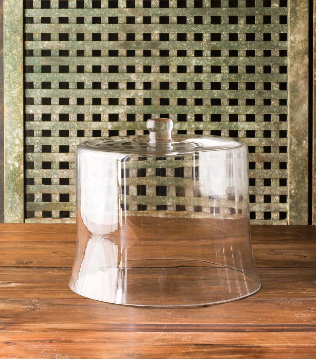 Park Hill Estate Cloche Or Water Globe | Wayfair | Wayfair North America
