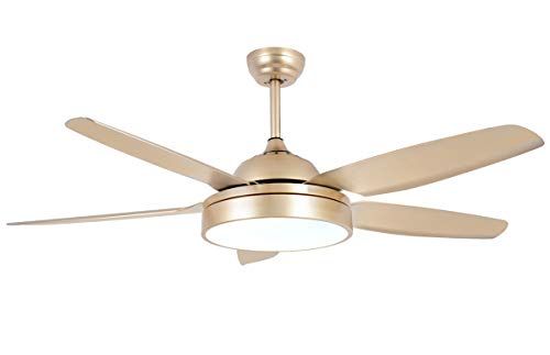 Morpholife Gold Ceiling Fan With Light, Champagne Chandelier Fan, Copper Electrical Fan With 5 Abs B | Amazon (US)