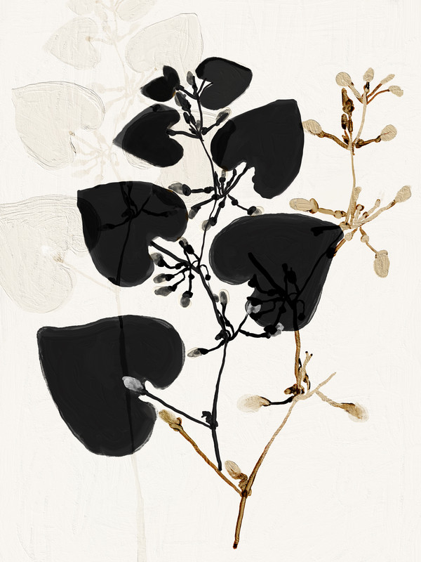 Black plant | Artfully Walls