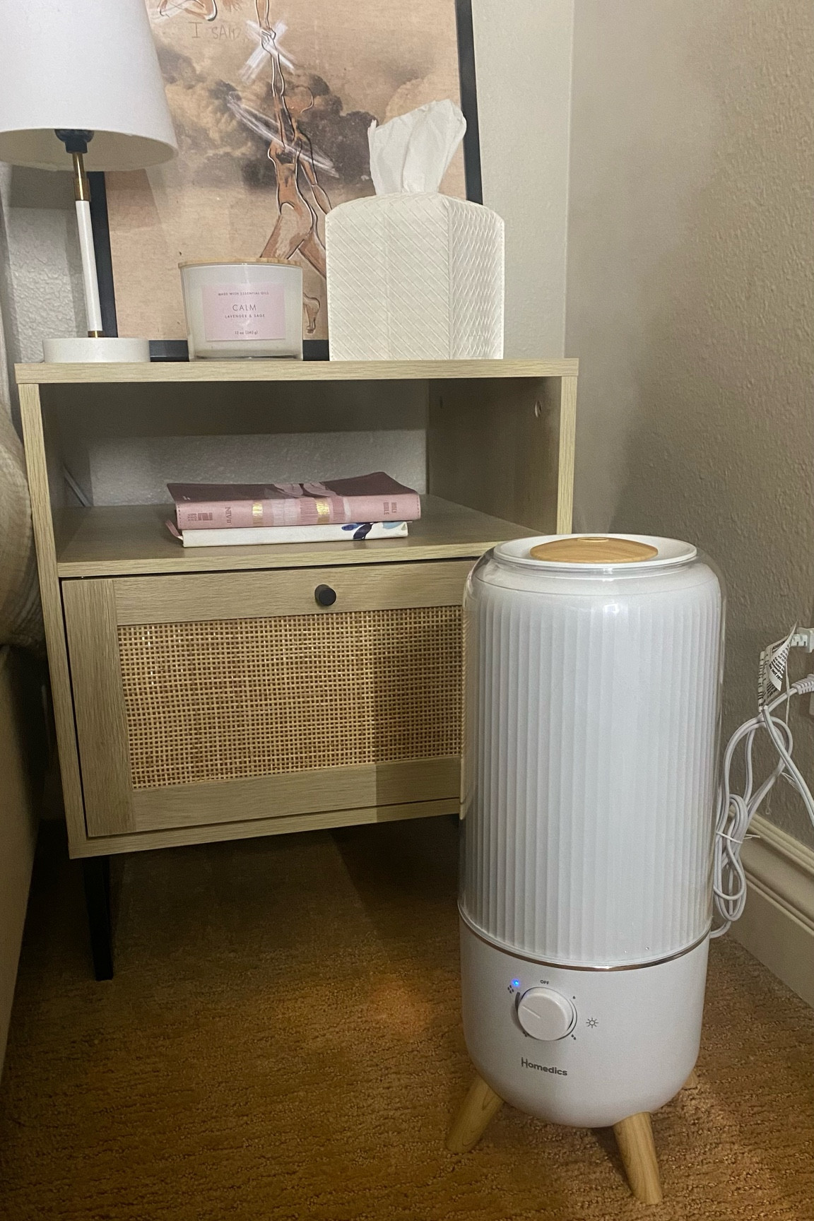 The best humidifier and oil diffuser especially for cold and flu season! 

I love the neutral, clean, and modern design perfect for my bedroom aesthetic. It comes in white, black, and taupe pink 

#LTKhome #LTKfindsunder100