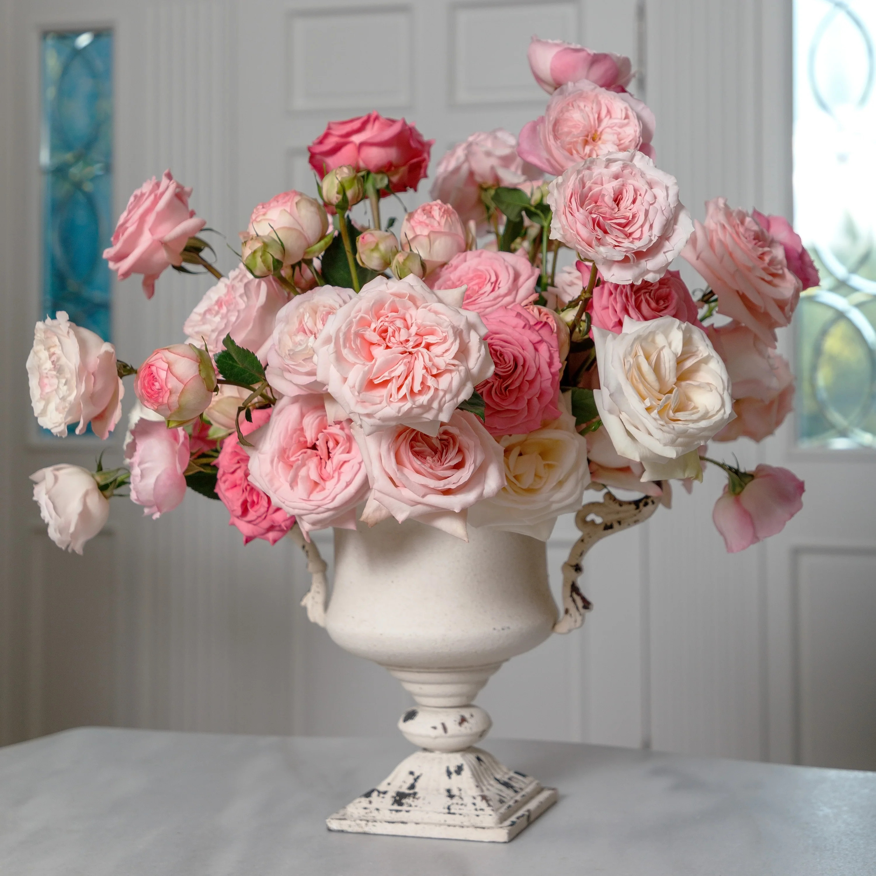 Seraphina | grace rose farm