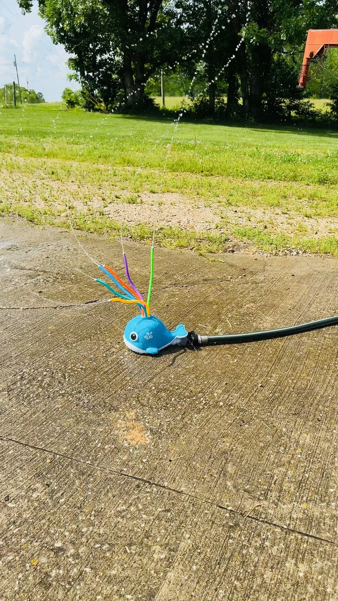 $5 summer fun from Walmart 

#LTKSaleAlert #LTKKids #LTKSeasonal