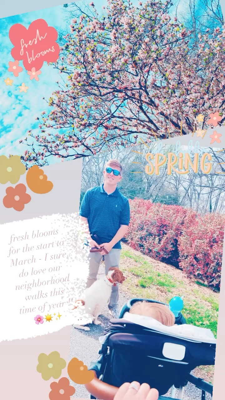 fresh blooms for the start to March - I sure do love our neighborhood walks this time of year !! 🌸☀️✨

#LTKfit #LTKbaby #LTKfamily