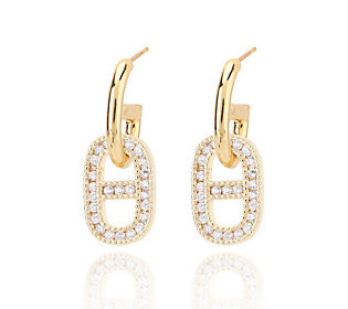 Vintage Havana Belle Goldtone Pave Dangle Earrings | QVC
