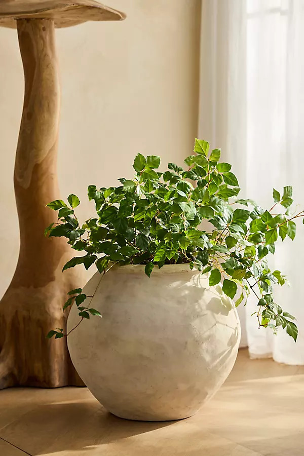 Rounded Jar Terracotta Planter | Anthropologie (US)
