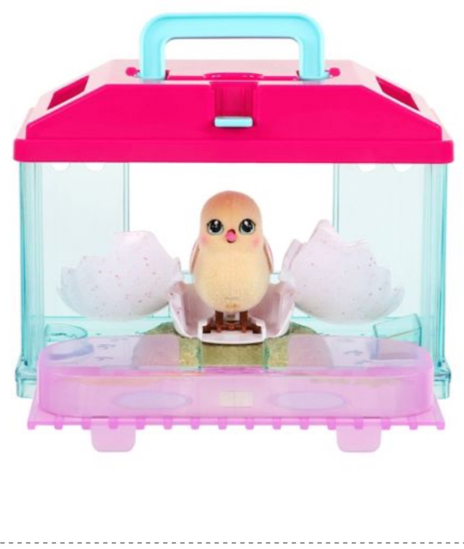 Hatching egg

#LTKfindsunder50 #LTKbaby #LTKFestival