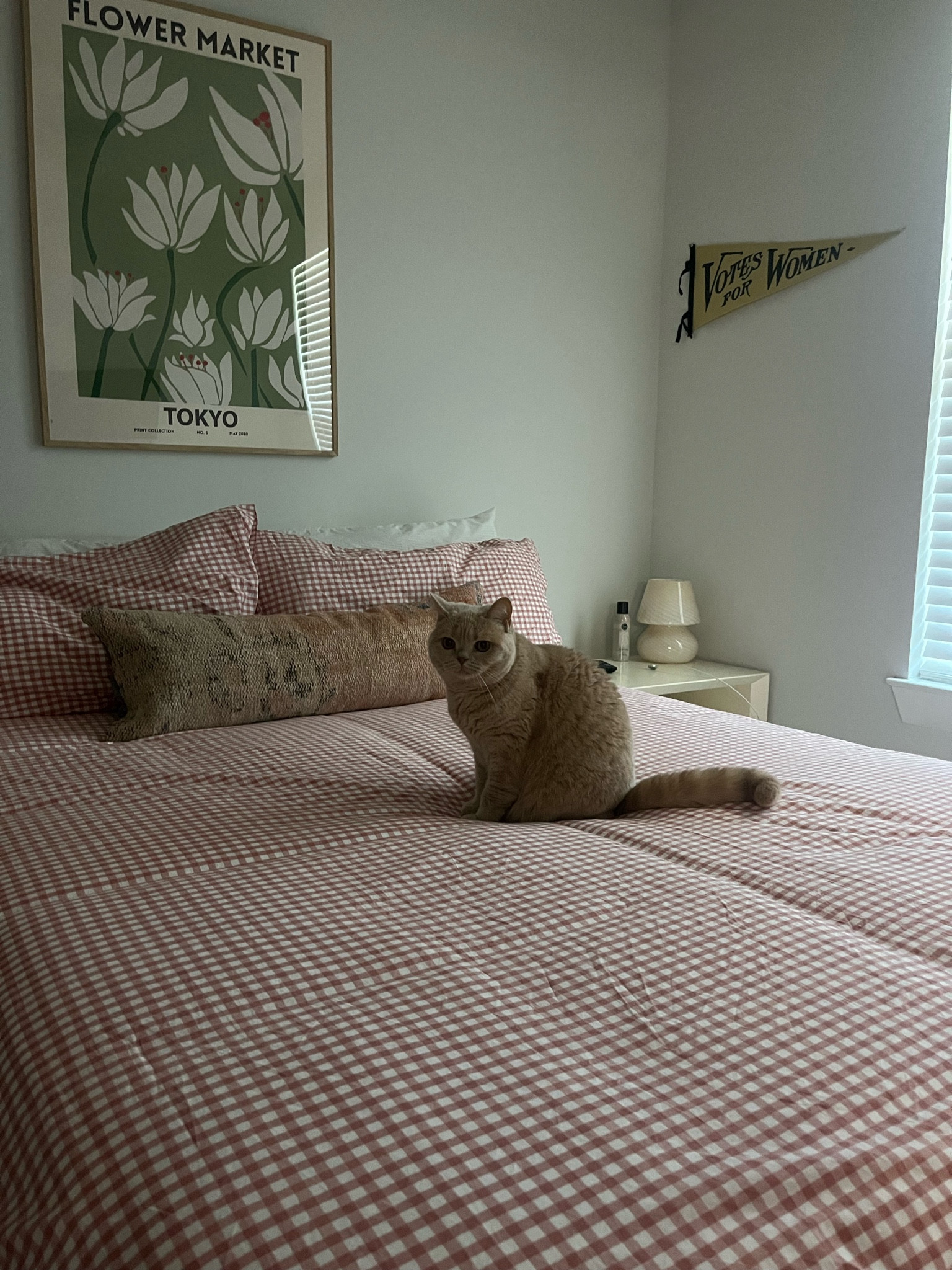 Comforter linked!😽

#LTKBacktoSchool #LTKFind #LTKhome