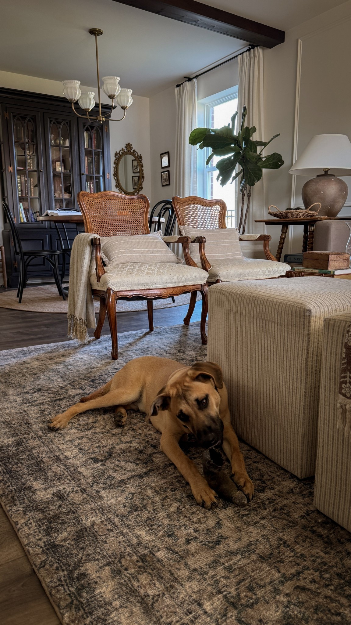 Switched back to my all time favorite rug  

#LTKHome #LTKSaleAlert