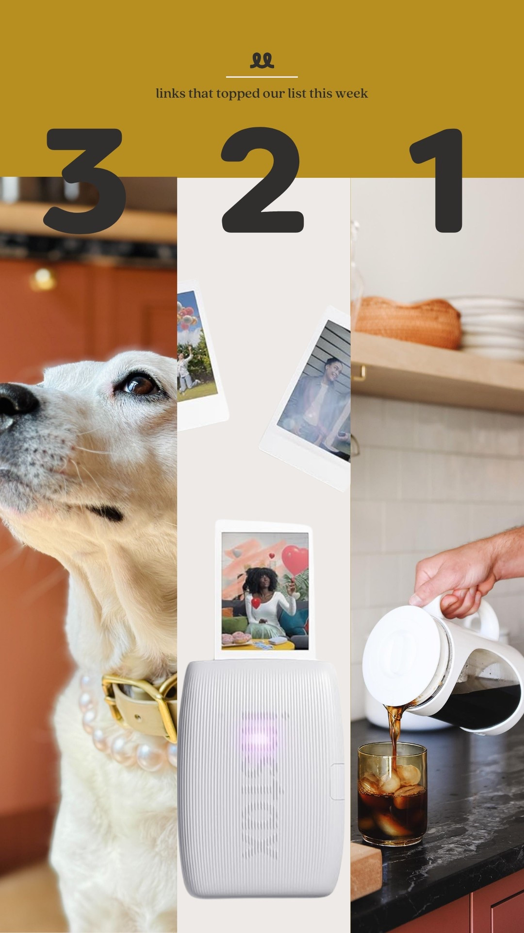 Links that topped our list this week: Kitty’s pearl necklace, instax printer, our cold brew maker

#LTKHome #LTKPets