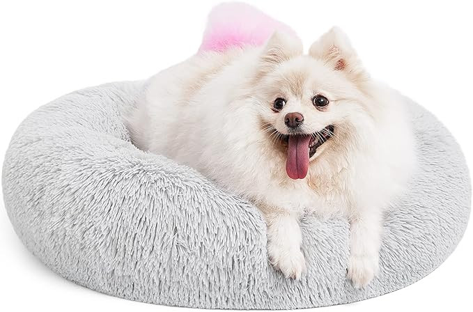 MIXJOY Orthopedic Dog Bed Comfortable Donut Cuddler Round Dog Bed Ultra Soft Washable Dog and Cat... | Amazon (US)