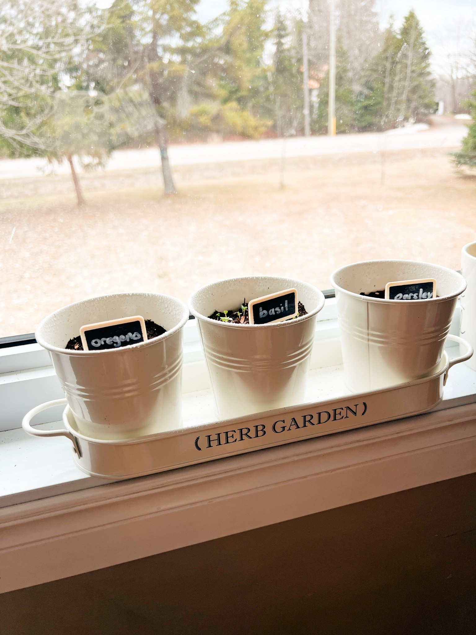 The cutest little planter pots that fit on a windowsill for an indoor or outdoor herb garden 🪴🌱

#amazon #amazonfind #herbgarden #gardening #mothersday #mothersdaygift #giftideas

#LTKhome #LTKcanada