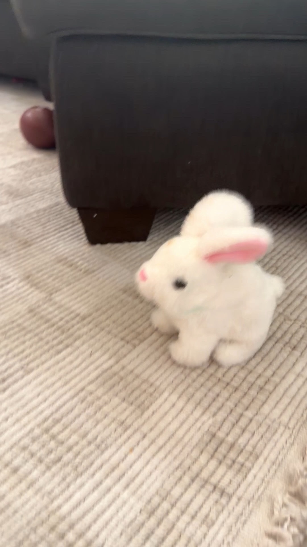 the most fun little bunny! great for tummy time & practice sitting!

kids//toy//amazon

#LTKBaby #LTKHome #LTKKids