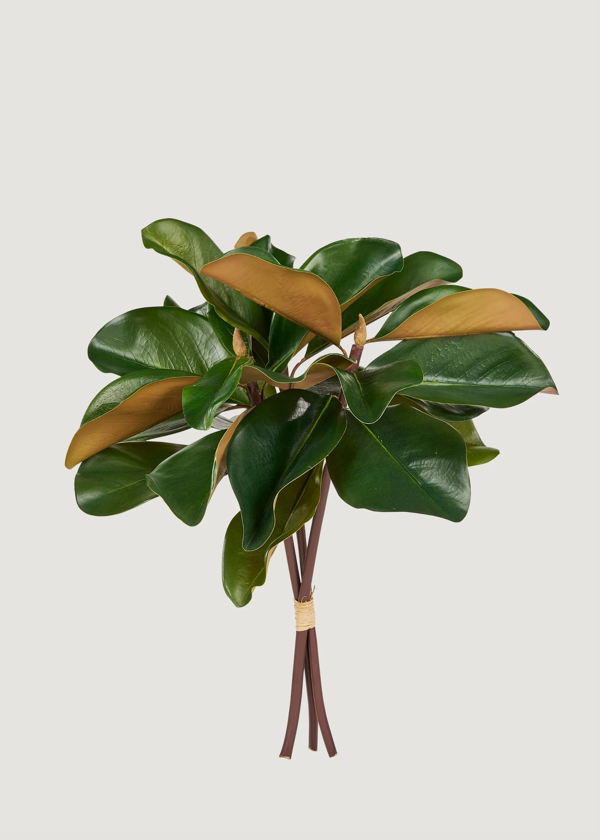 Artificial Magnolia 3-Stem Bundle - 18 | Afloral