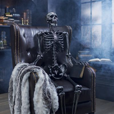 Dark Gray 5' Skeleton | Grandin Road | Grandin Road