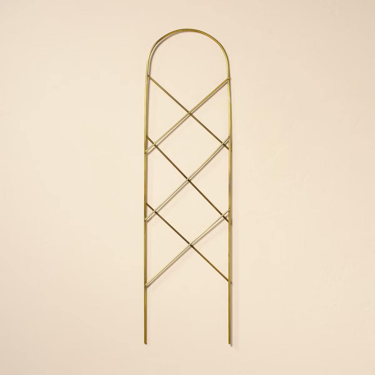 6"x22" Metal Plant Trellis Brass Finish - Hearth & Hand™ with Magnolia | Target