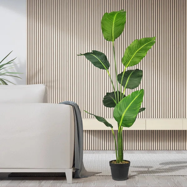 Baskett 60'' Faux Banana Leaf Tree in Pot | Wayfair North America
