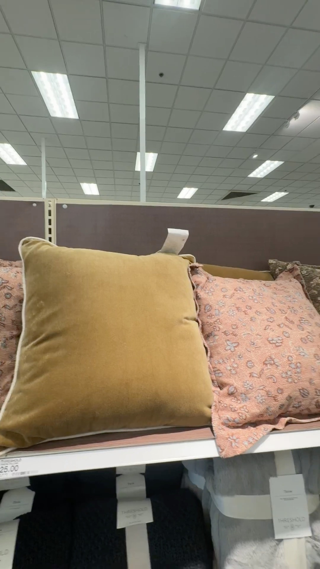 Beautiful Fall Throw Pillows at Target!  

 #LTKdayinmylife #LTKSeasonal #LTKHome