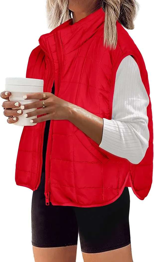 Zeagoo Womens Puffer Vest Ladies Sleeveless Zip Up Outerwear Warm Puffer Lightweight Down all Win... | Amazon (US)