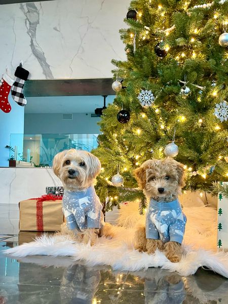 How cute are these Family matching pajamas from Hanna Andersson. Got my dogs and my pjs for under $50. 

#LTKHoliday #LTKfindsunder50