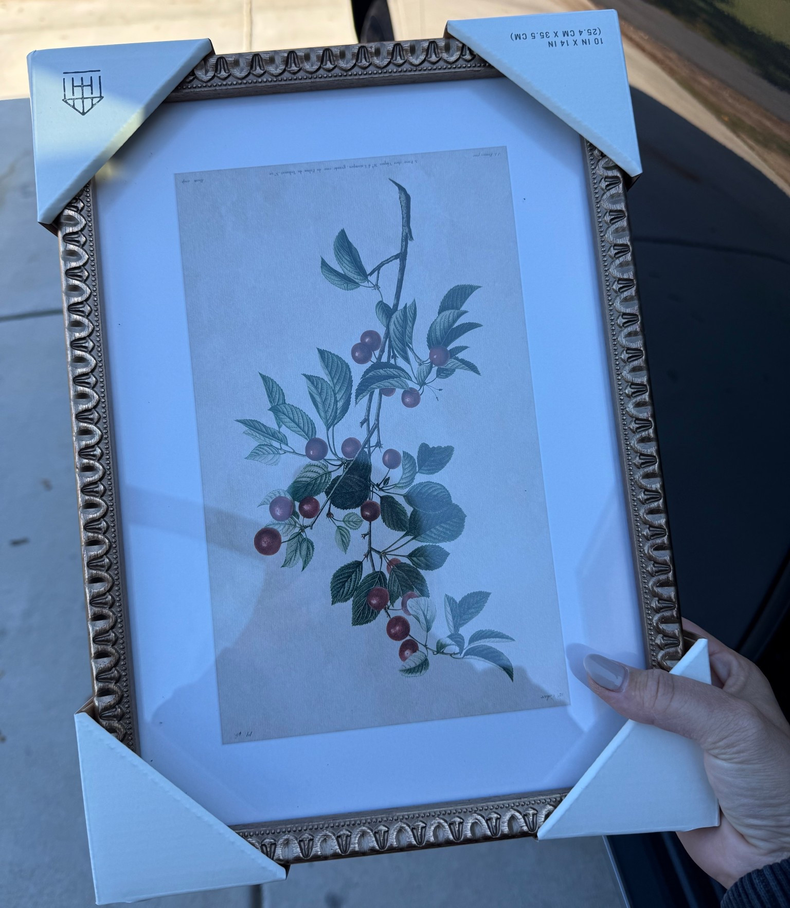 Christmas at target 😍 



#LTKHome #LTKFindsUnder50 #LTKHoliday