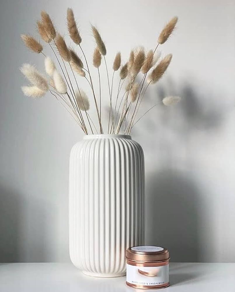 8 Inch Tall Glossy White Ceramic Ribbed Vase for Flowers & Pampas Grass, Simple Modern Decorative... | Amazon (US)