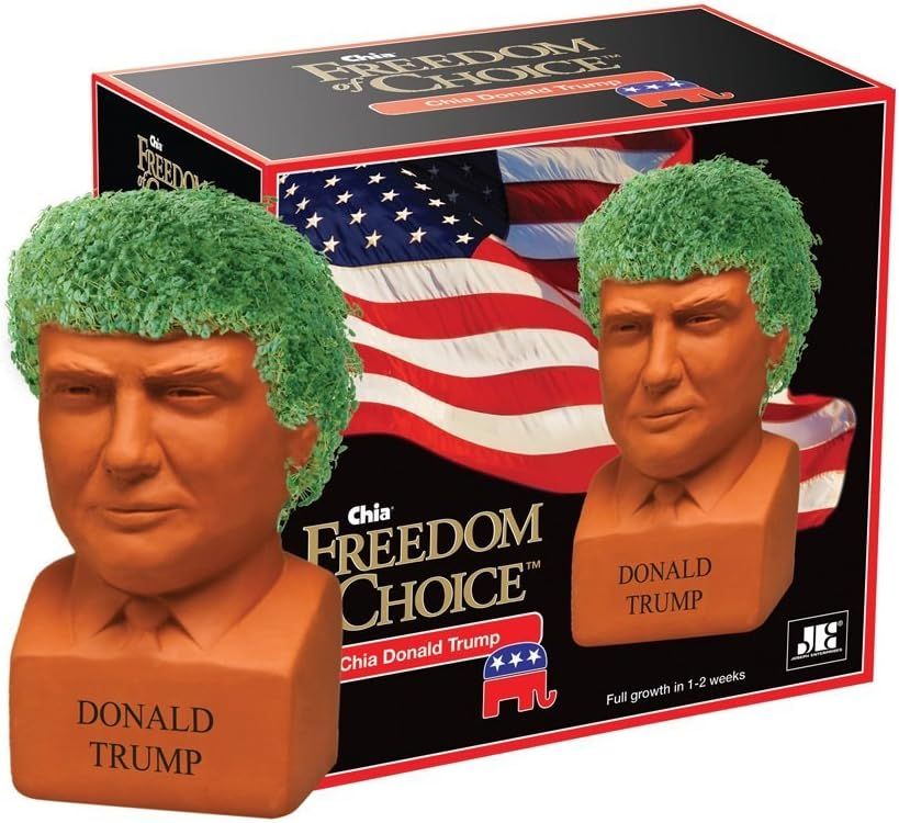 Chia Donald Trump President with Seed Pack, (8" x 4.5" x 7.3") Decorative Pottery Planter, Easy t... | Amazon (US)