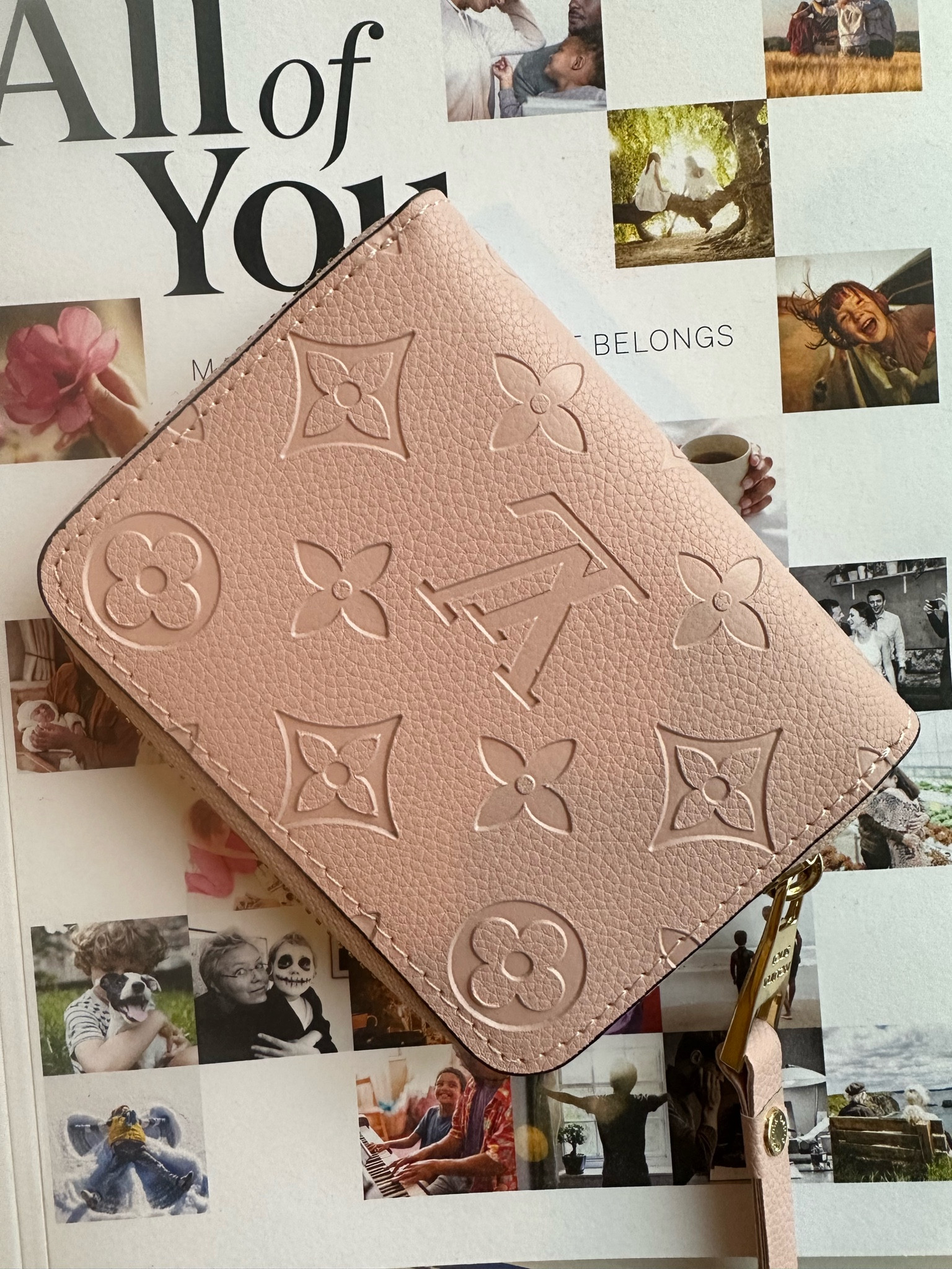 Beautiful LV mini wallet