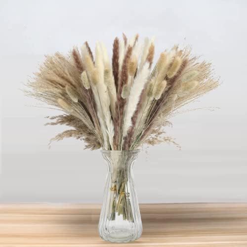 Amazon.com: Dried Pampas Grass Fall Decor - 85PCS Dried Flowers Bunny Tails Short Pompous Grass -... | Amazon (US)