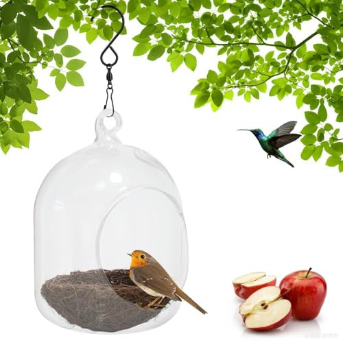 Bird Feeder, Clear Glass Circular Bird Feeder for Outdoor Use, Hummingbird House Rainproof Transparent Birds Nest Hanging with Hook for Outside Garden Home Decoration Courtyard (Clear, 1 pc) | Amazon (US)