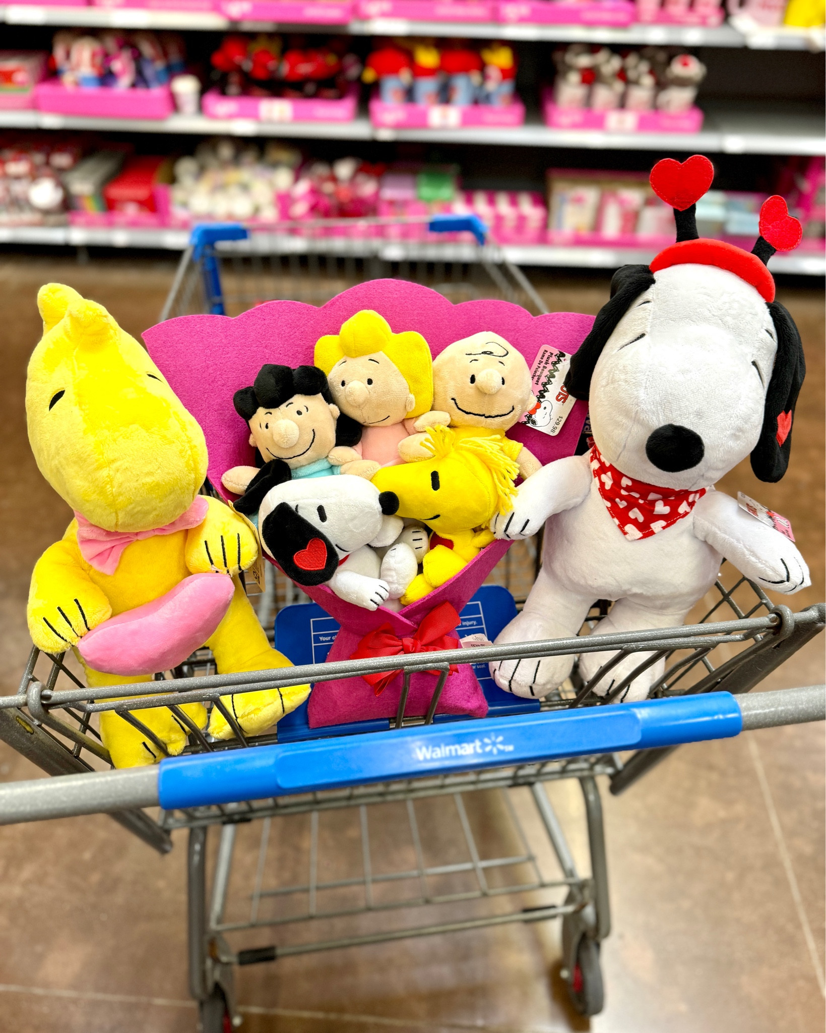 Walmart: Valentine’s Day Character Plush Bouquets 

#LTKKids #LTKGiftGuide #LTKSeasonal