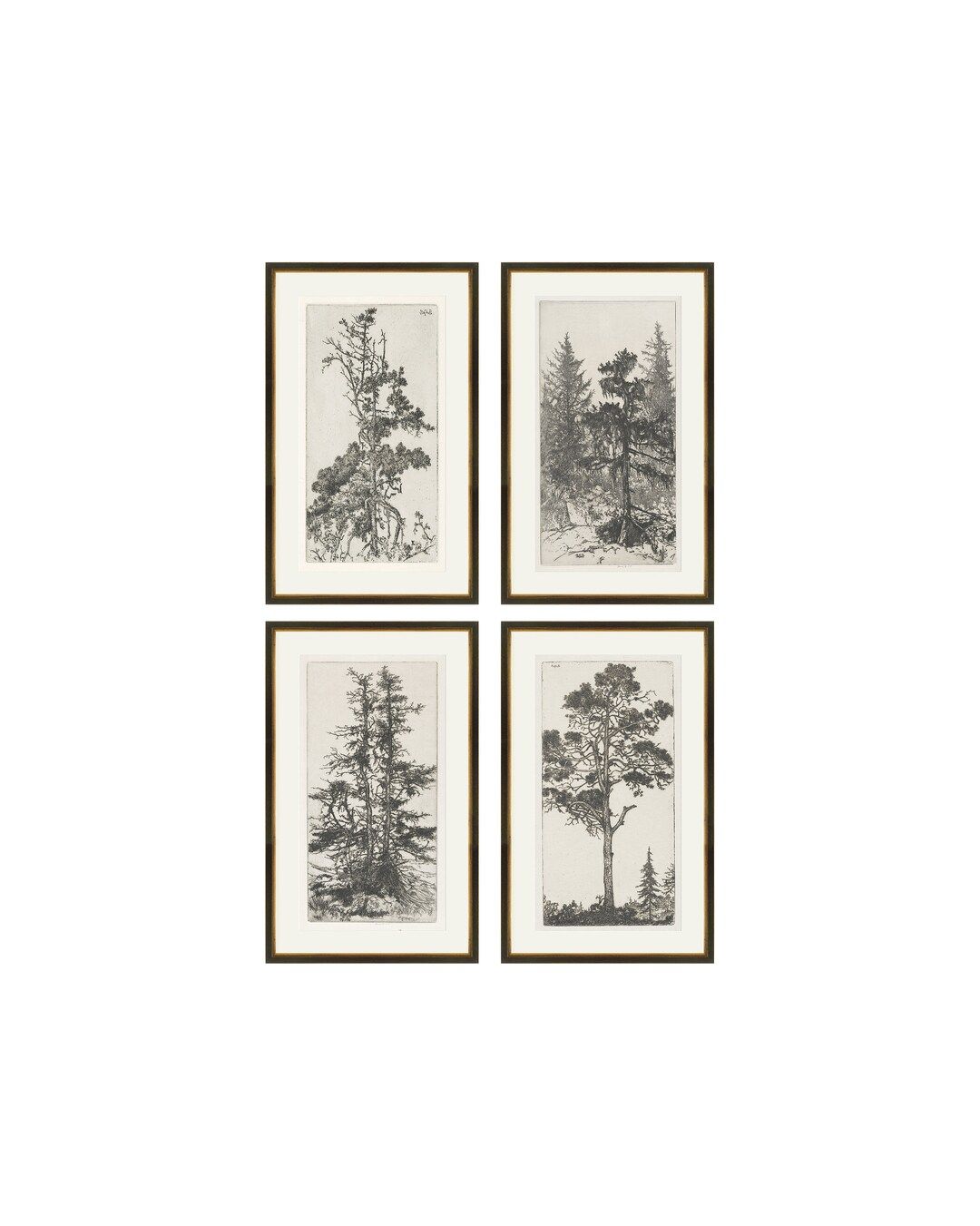 Set of 4 Trees Etchings Vintage Trees Prints Gallery Wall - Etsy | Etsy (US)