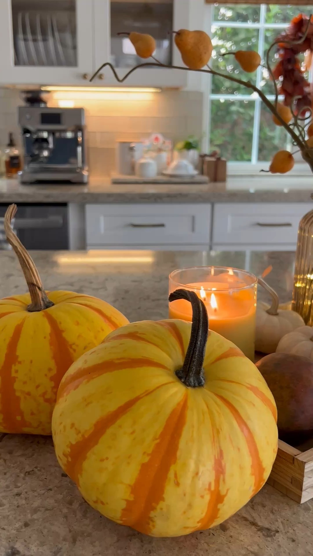 Artificial pears for Fall

#LTKStyleTip #LTKHome #LTKSeasonal