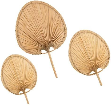 Artera Wicker Boho Wall Decor - Natural Woven Palm Leaf Hand Fan, Unique Bohemian Rustic Farmhous... | Amazon (US)
