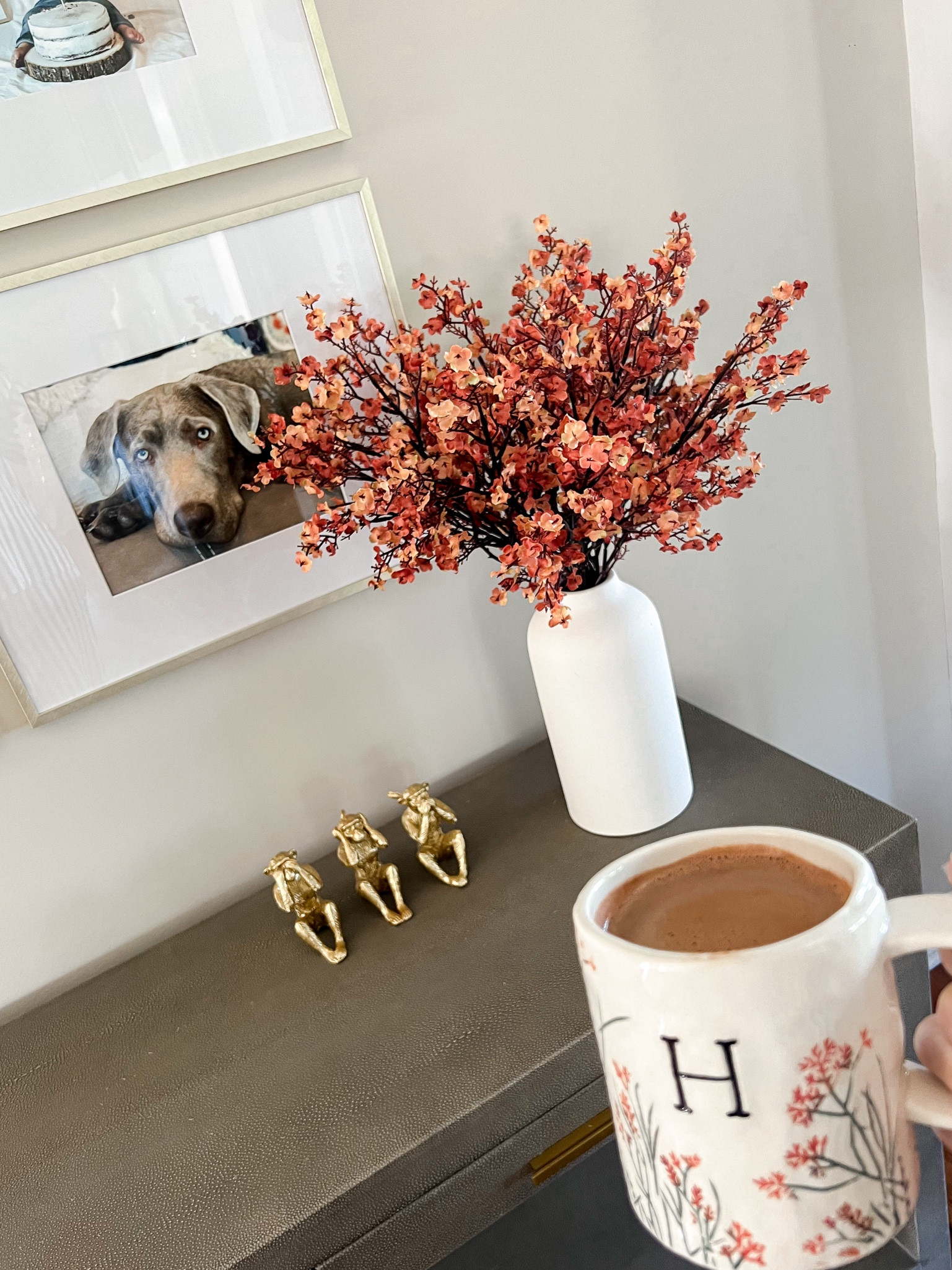 So impressed with these Amazon stems - I ordered two sets! Mug is old from Anthropologie & linking similar wise monkey statues 

Amazon, anthro, home decor, Anthropologie, coffee mug, stems, vase, spring refres

#LTKfindsunder50 #LTKSeasonal #LTKhome