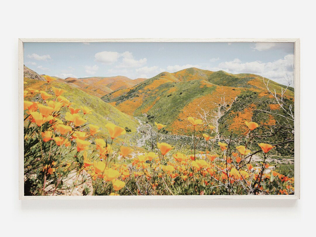 Samsung Frame TV Art, California Poppy TV Print, Poppy Art for Frame TV, Boho Floral Tv Art, Popp... | Etsy (US)