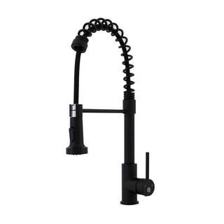 Pasha Single Handle Pull-Down Sprayer Kitchen Faucet in Matte Black | The Home Depot