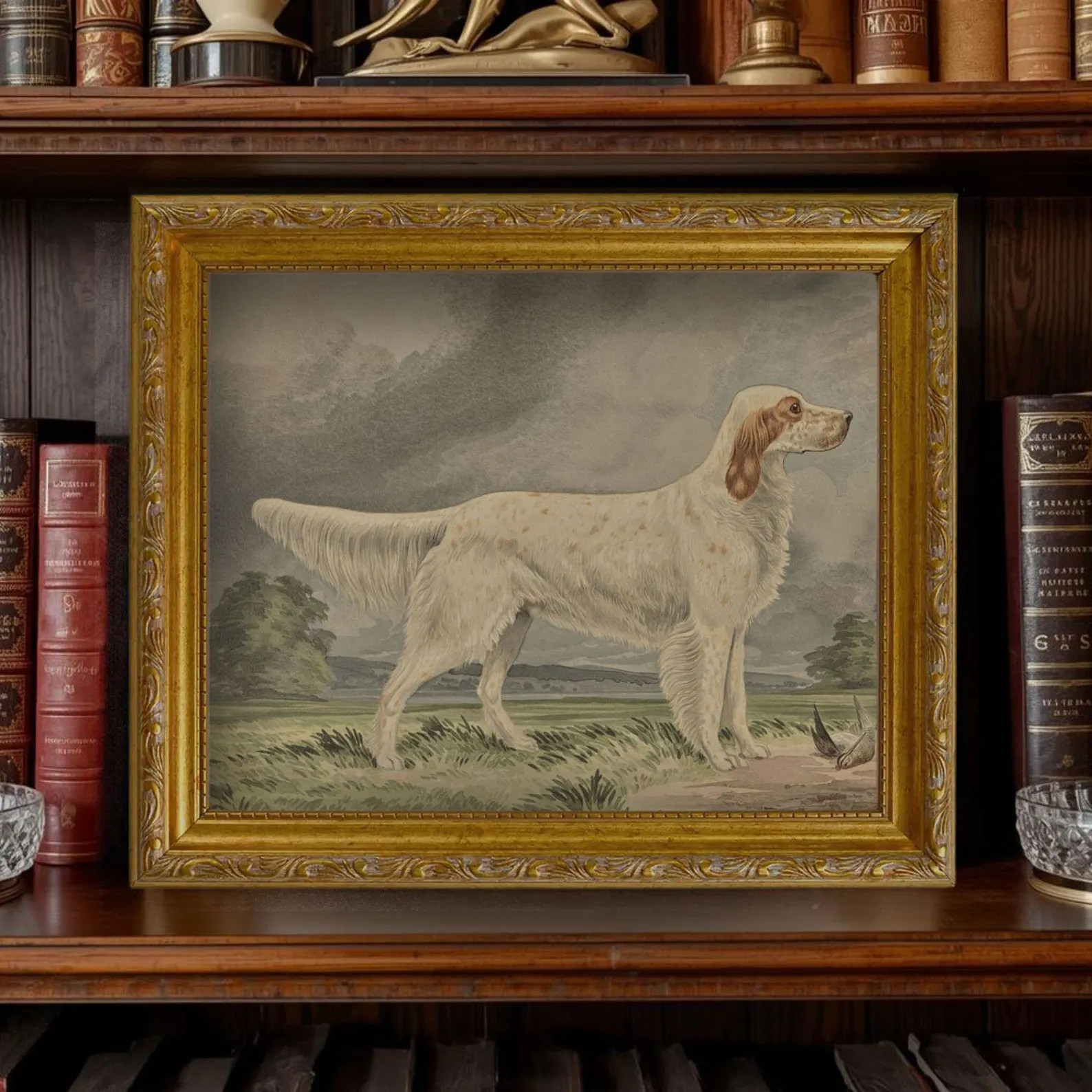 The Field Dog No. 04 - 11x14 Antique Inspired Framed Hunting Standing Irish Settler Dog Portrait | Etsy (Global)
