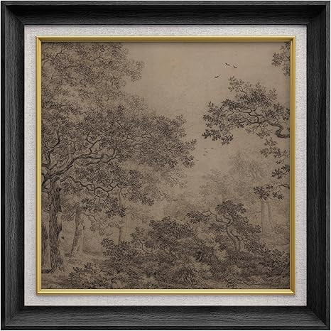 MUDECOR Premium Framed Wall Art Vintage Forest Sketch Classic Illustrations Fine Art Decorative R... | Amazon (US)