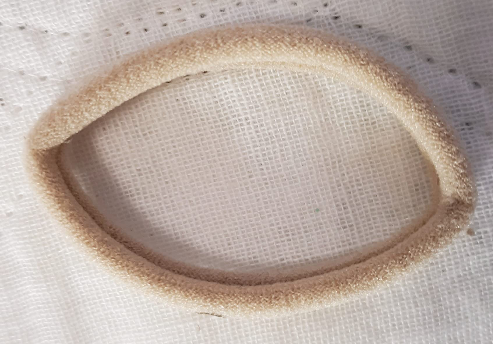 Gimme Beauty - Extra Fine Hair Ties - Neutral - Seamless, No Break Microfiber Elastic Hair Ties -... | Amazon (US)