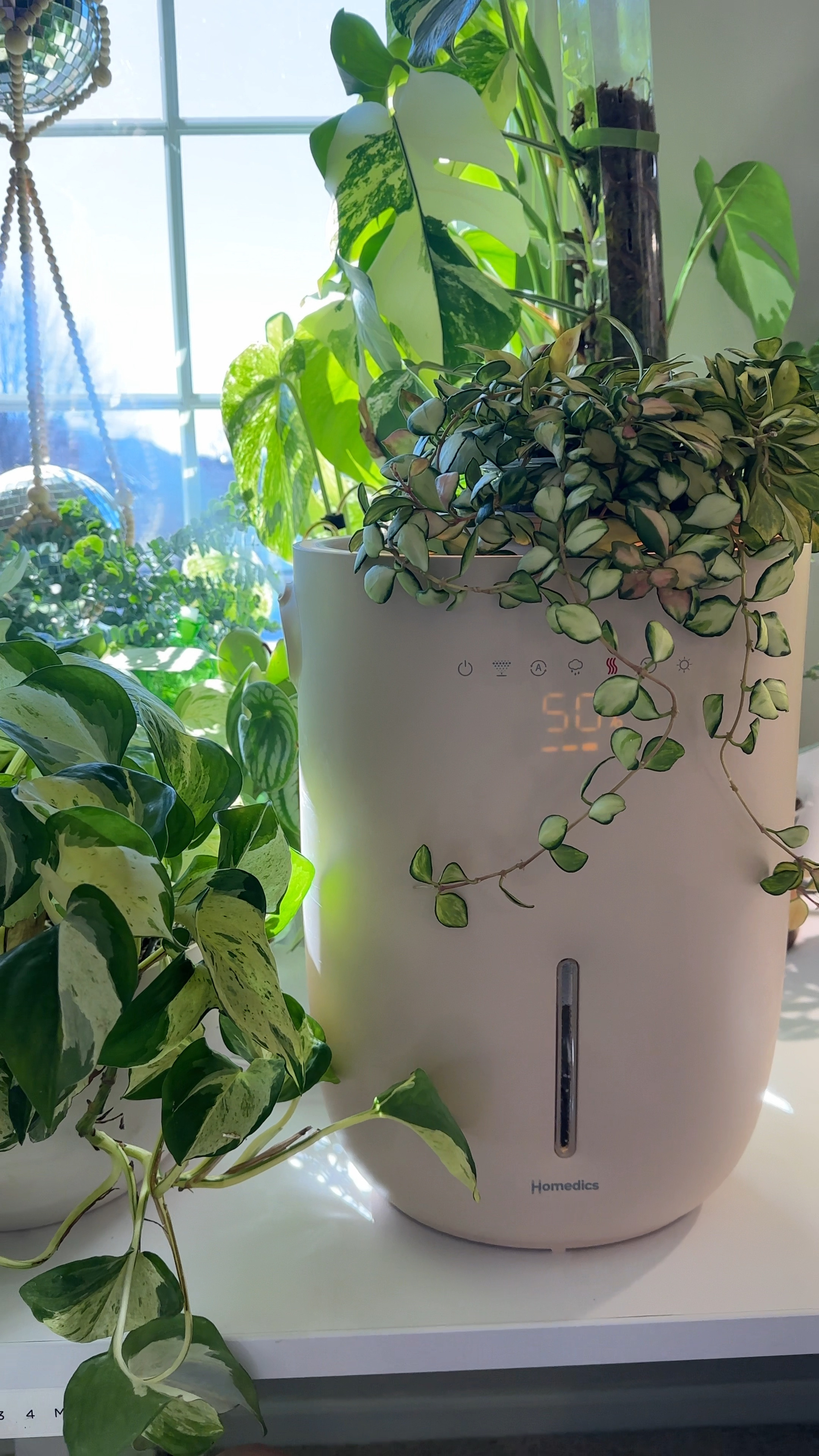 The best of both worlds, a humidifier AND a planter 🙌🏻 have you seen the new Homedics humidifier?! 

#LTKWatchNow #LTKHome #LTKSeasonal