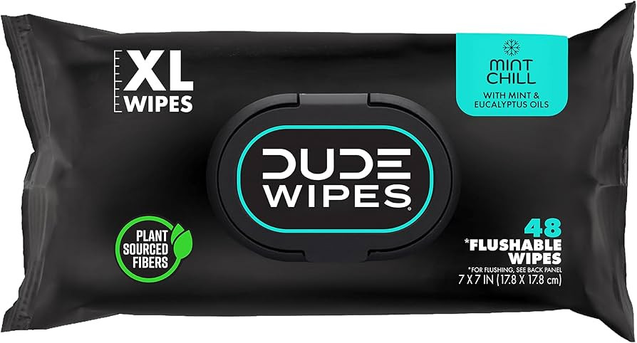 DUDE Wipes Mint Chill Flushable Wipes - Extra-Large Adult Wet Wipes - 1 Pack (48 Count), Travel P... | Amazon (US)