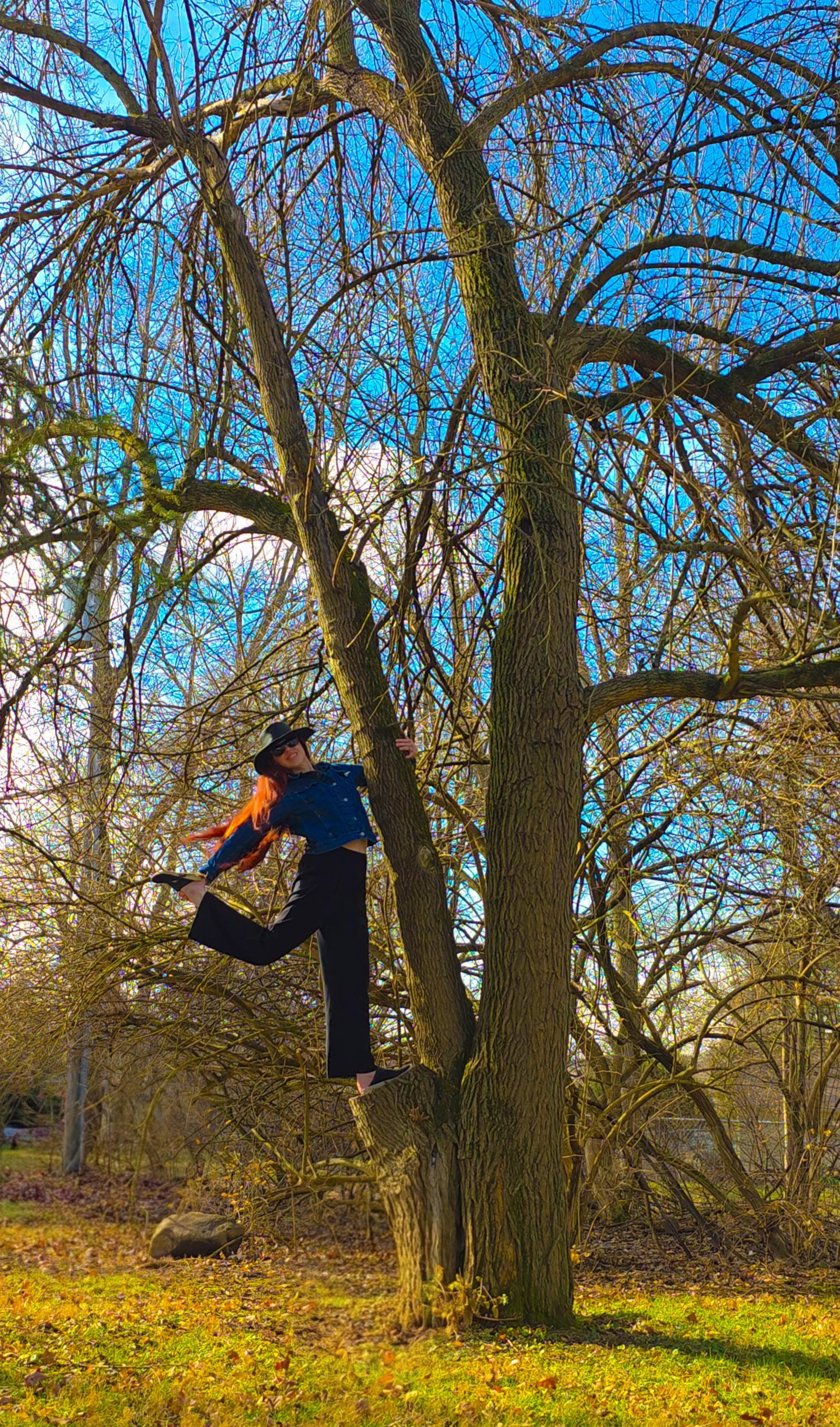 Dancer pose in the branches 💃🏼🌳Yoga, Iuga, yoga outfit, activewear, fitness, yoga lifestyle, dancer pose, outdoor adventures 

#LTKdayinmylife #LTKActive #LTKootd