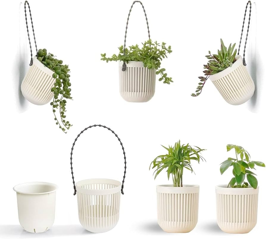 Melphoe 6 Pcs Air Plant Holders Cartoon Shaped Small Succulent Pot and 6 Pcs 3.5‘’ Two-Piece ... | Amazon (US)