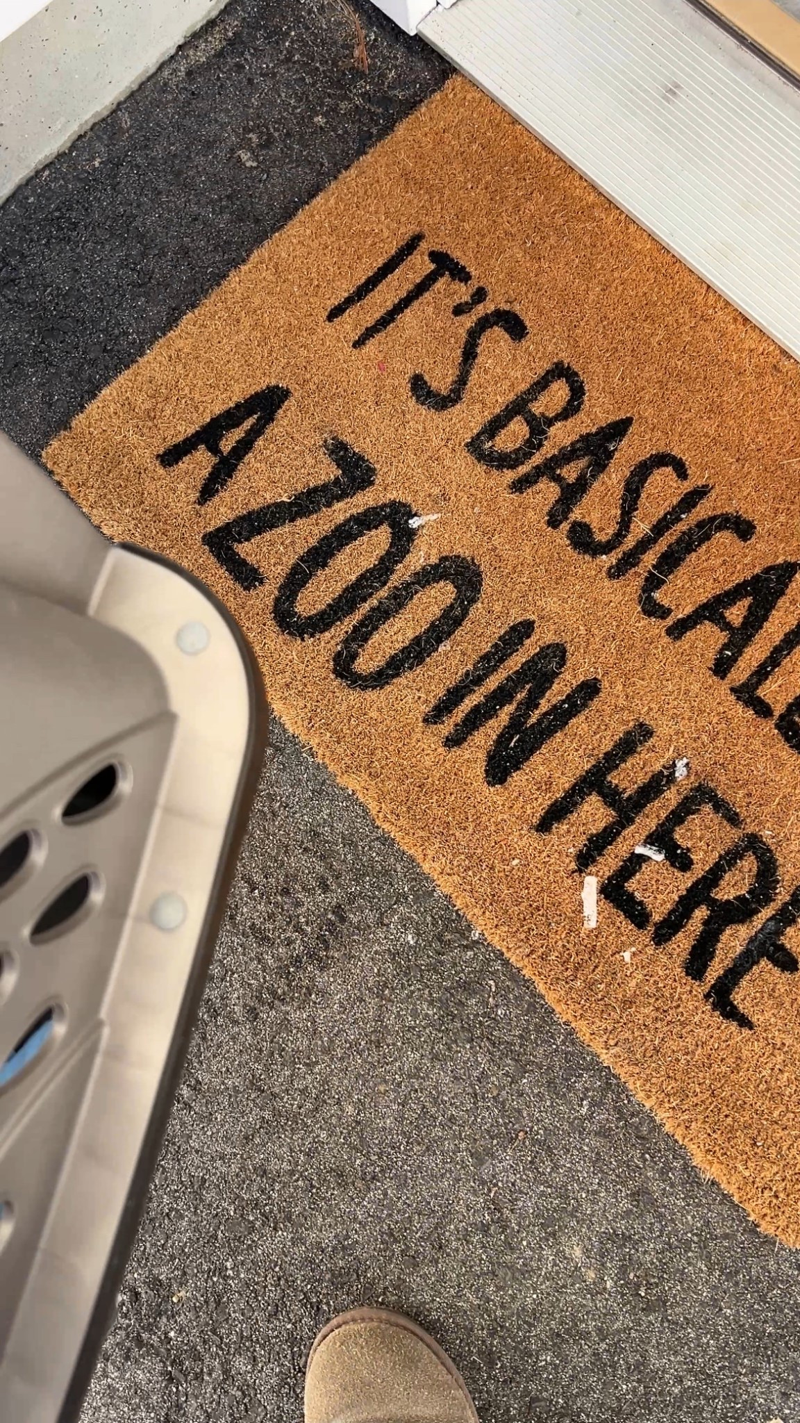 I linked a similar rug that I would have bought since I got this at Hobby lobby and I’m not able to link that here! 🐾🐾

We got a new animal 👀

#LTKdayinmylife #LTKHome