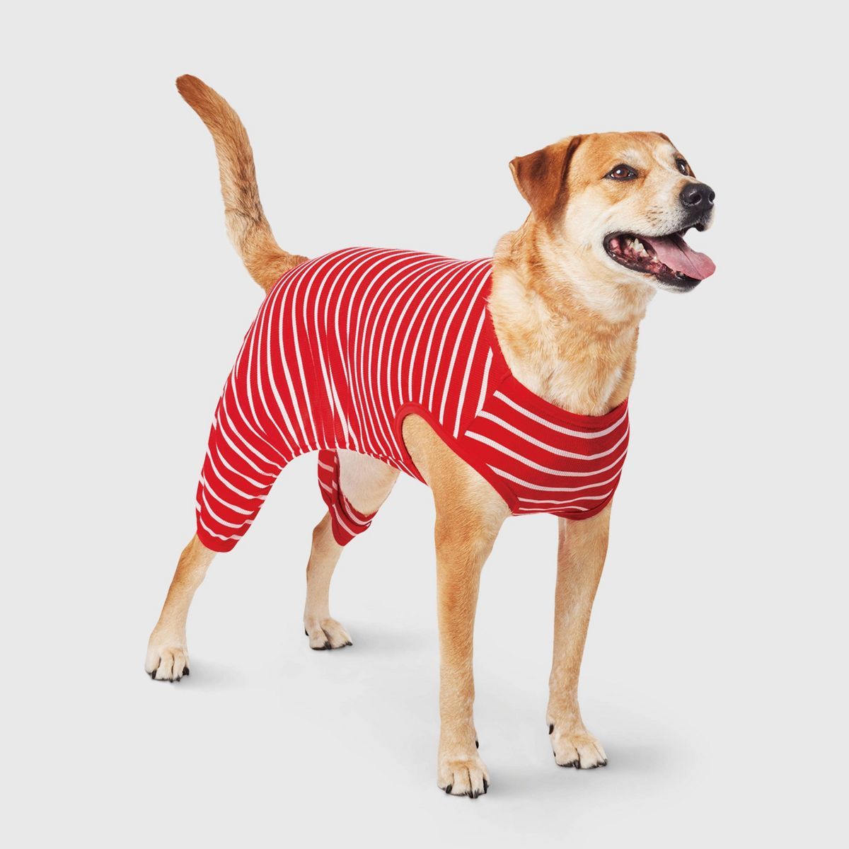 Striped Matching Family Thermal Cat and Dog Pajamas - Wondershop™ - White/Red | Target