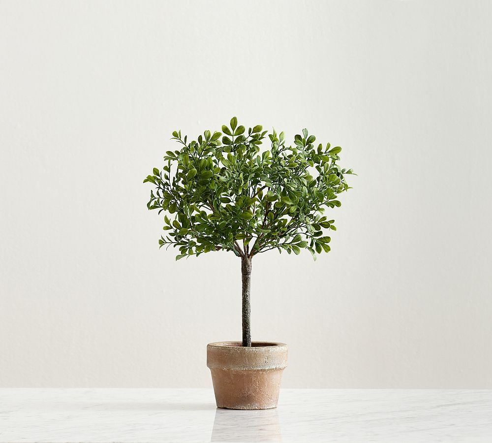 Faux Boxwood Topiary | Pottery Barn (US)