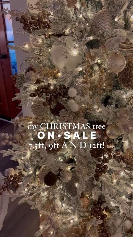 My Christmas tree is on SALE🌲👏🏼🤎 call me crazy but this is the time to buy it for now or next year! I’ve never seen it go on sale and I LOVE IT. 

Home Depot / sale finds / christmas tree / holiday season / Holley Gabrielle 

#LTKVideo #LTKHoliday #LTKhome